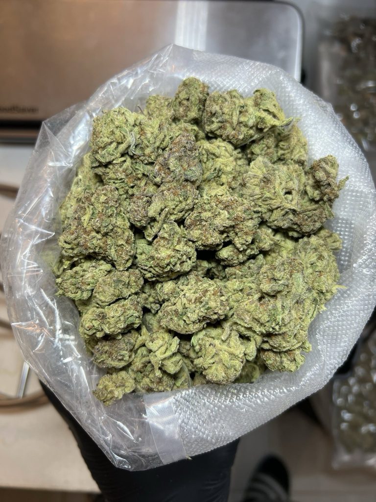 GMOG | Cannabis Strain | Cheap Kush